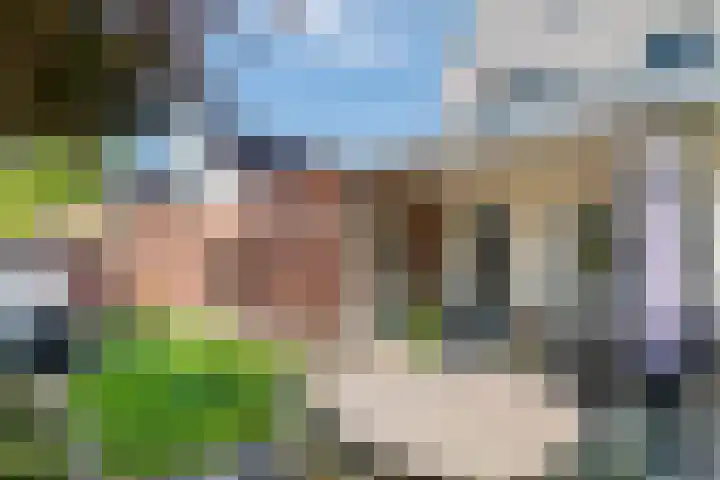 Vierschaar 18 Druten thumbnail 33