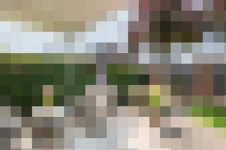 Vierschaar 18 Druten thumbnail 34