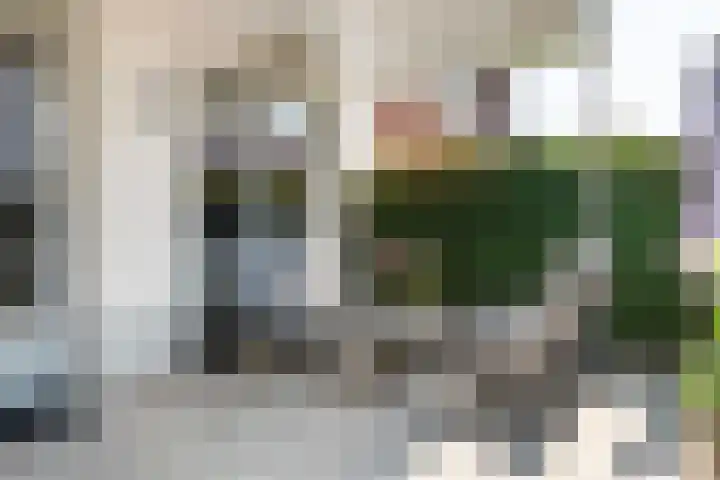 Vierschaar 18 Druten thumbnail 36