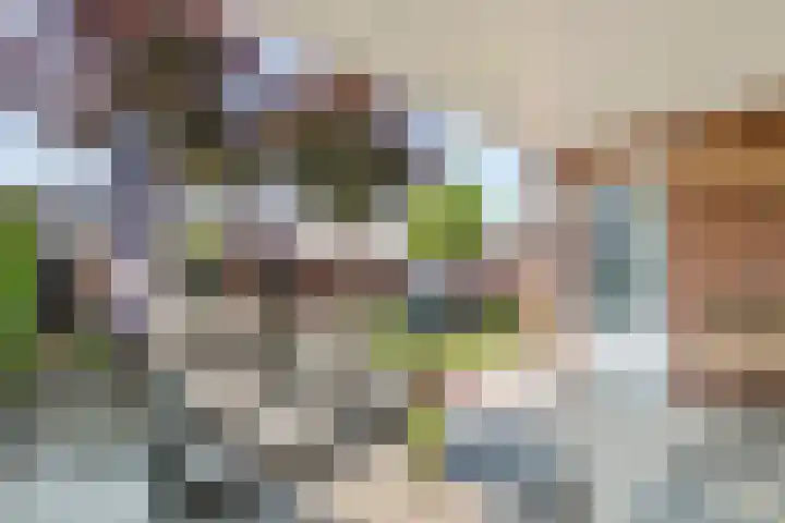 Vierschaar 18 Druten thumbnail 37
