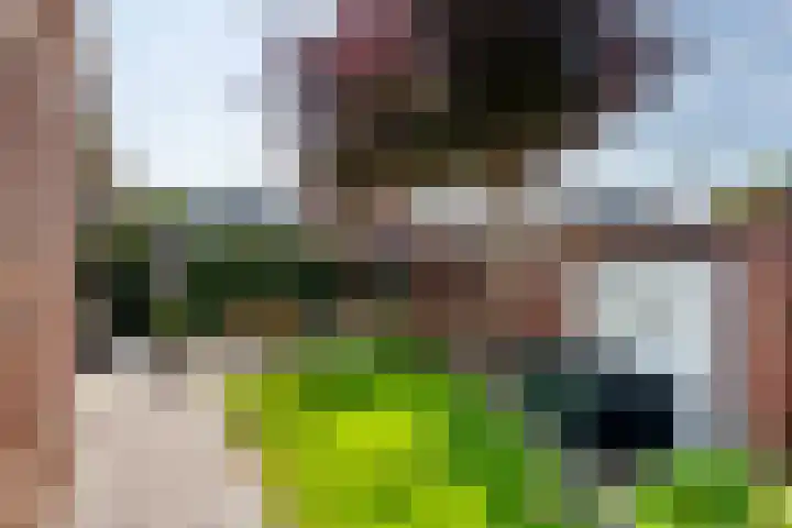 Vierschaar 18 Druten thumbnail 4
