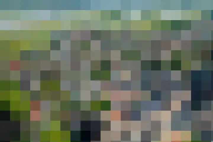 Vierschaar 18 Druten thumbnail 42