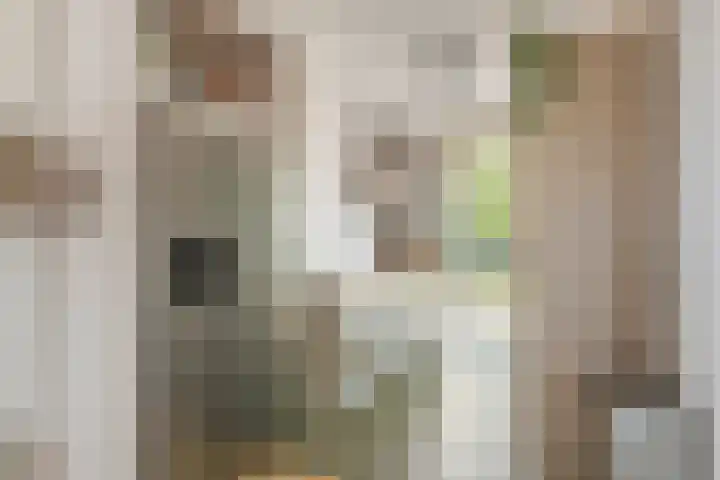 Vierschaar 18 Druten thumbnail 6