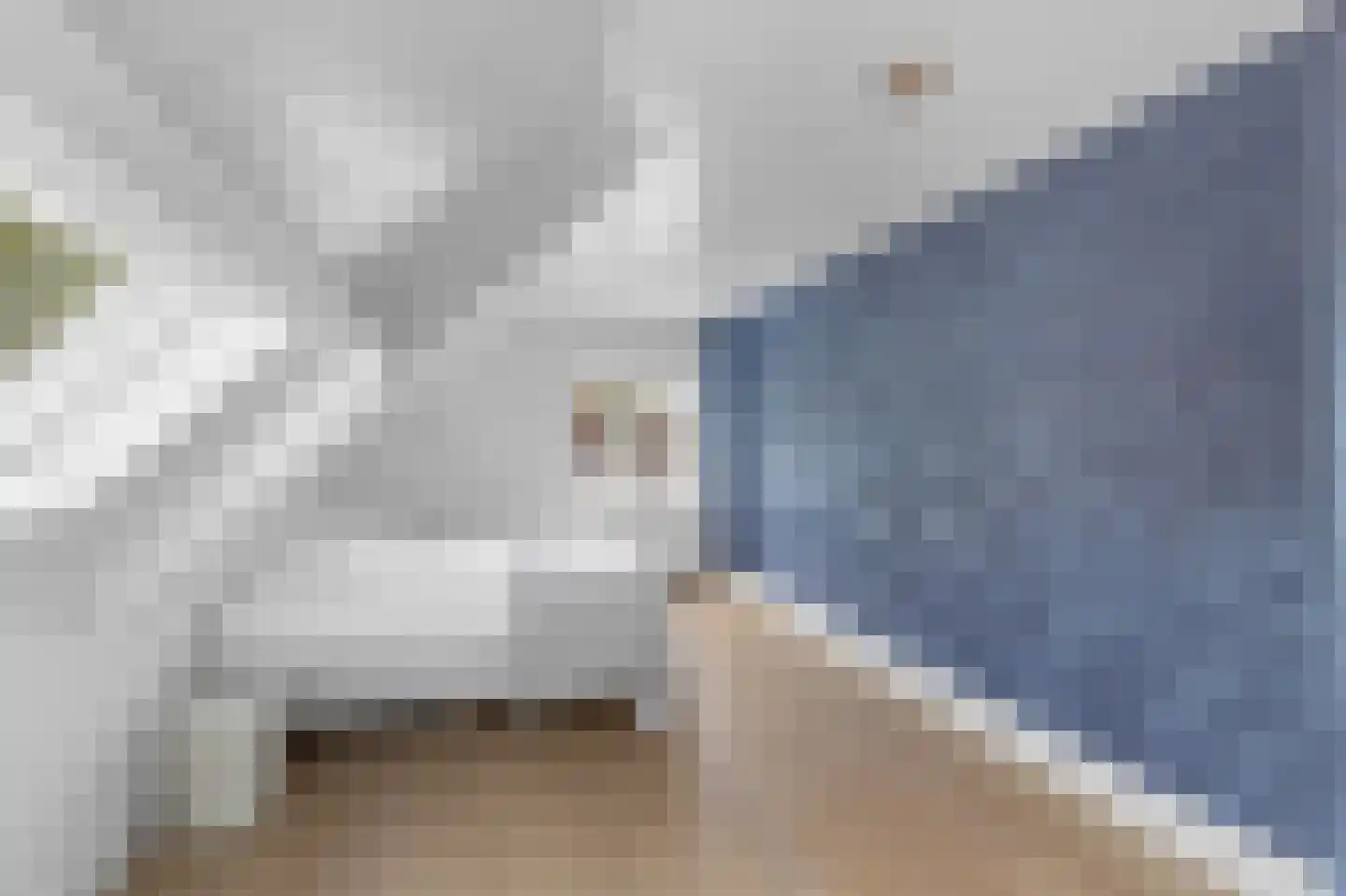 Vierschaarstraat 19 Oud Gastel thumbnail 35