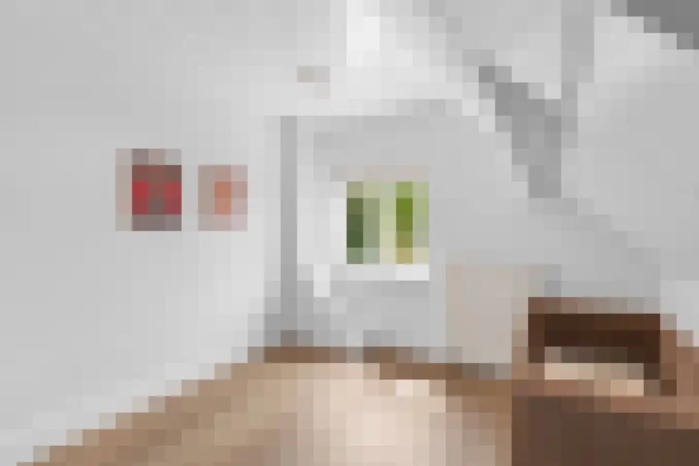 Vierschaarstraat 19 Oud Gastel thumbnail 36