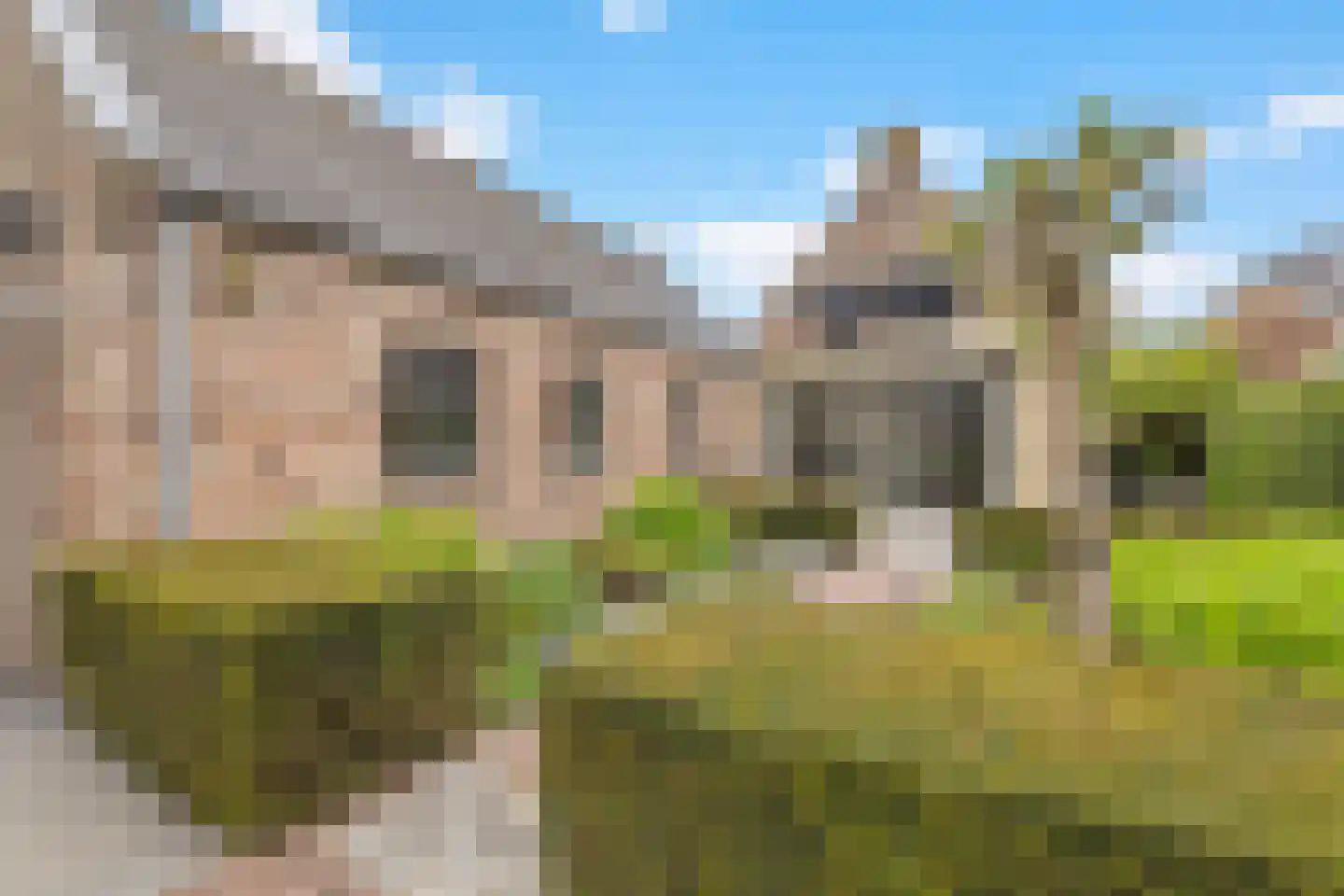 Vierschaarstraat 19 Oud Gastel thumbnail 53