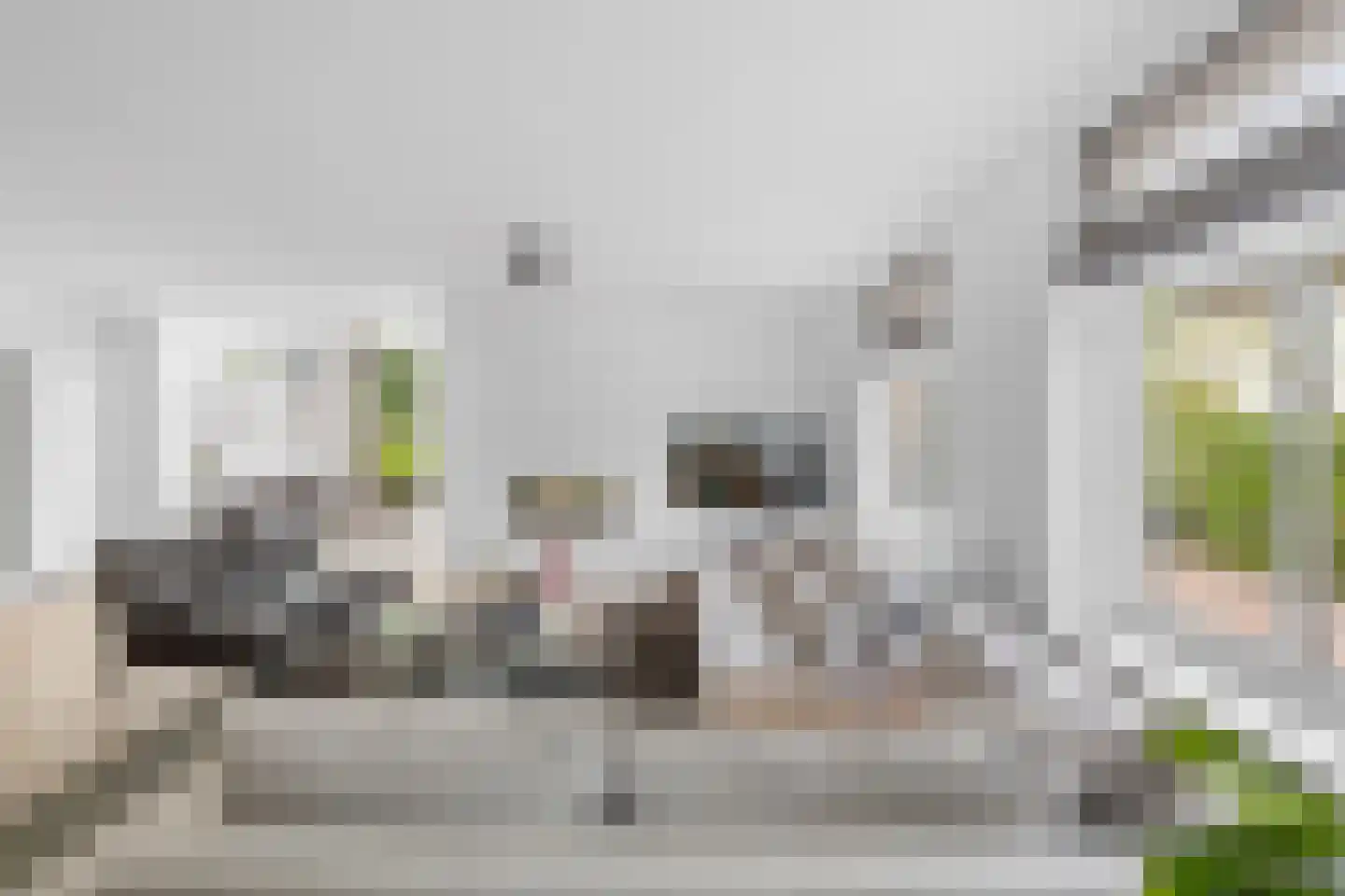 Vierschaarstraat 19 Oud Gastel thumbnail 7