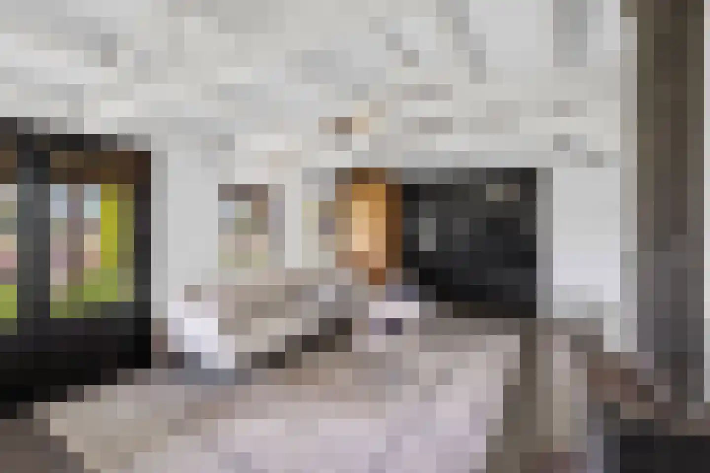 Vierschaarstraat 19 Oud Gastel thumbnail 71