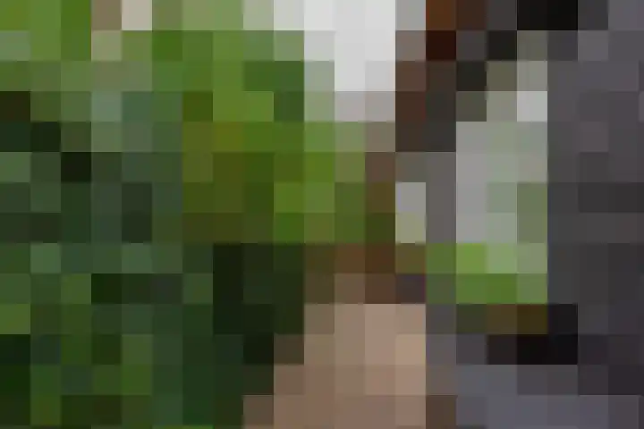 Vierschotenweg 14 't Loo Oldebroek thumbnail 101