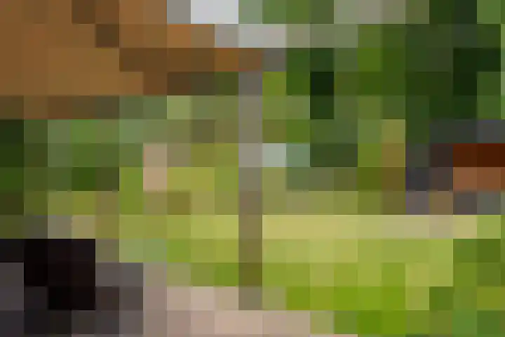 Vierschotenweg 14 't Loo Oldebroek thumbnail 102