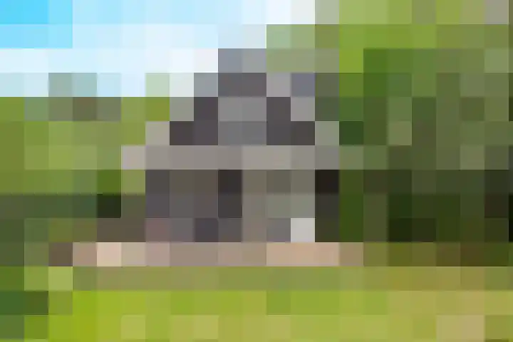 Vierschotenweg 14 't Loo Oldebroek thumbnail 103