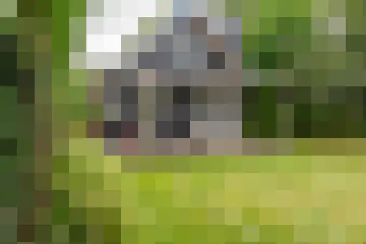 Vierschotenweg 14 't Loo Oldebroek thumbnail 104