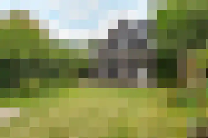 Vierschotenweg 14 't Loo Oldebroek thumbnail 105