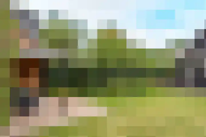 Vierschotenweg 14 't Loo Oldebroek thumbnail 106