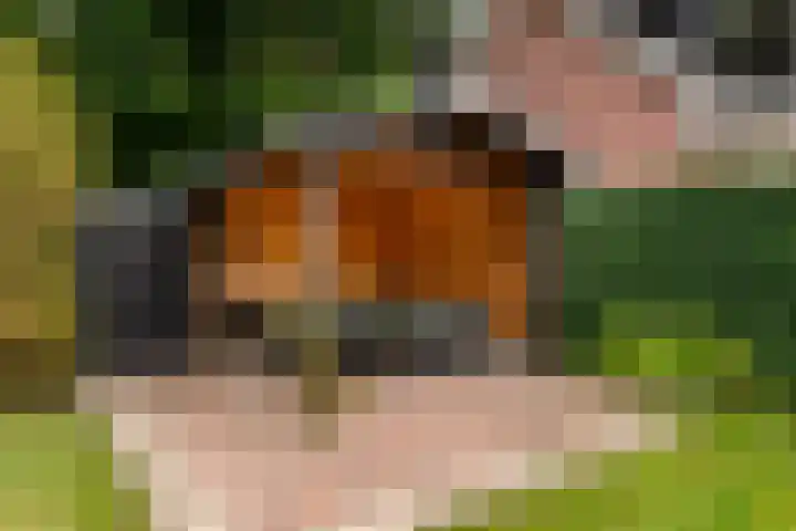 Vierschotenweg 14 't Loo Oldebroek thumbnail 107