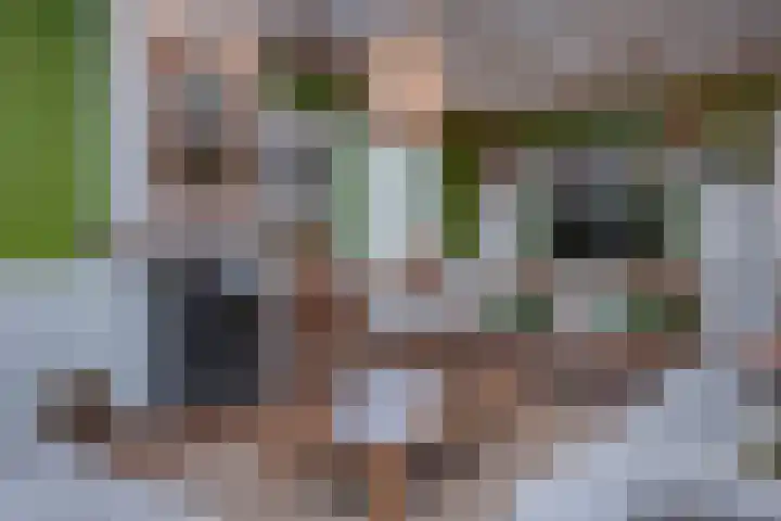 Vierschotenweg 14 't Loo Oldebroek thumbnail 11