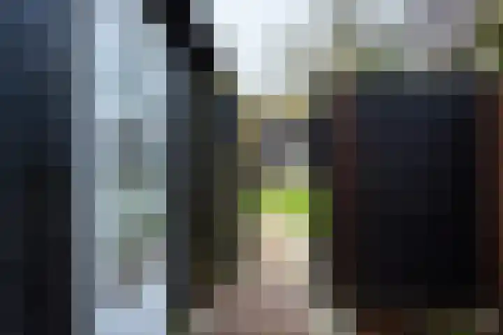 Vierschotenweg 14 't Loo Oldebroek thumbnail 114