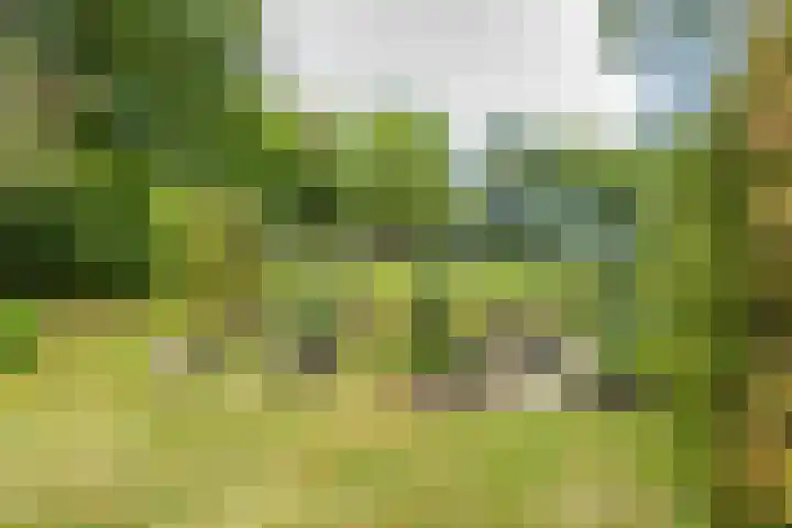 Vierschotenweg 14 't Loo Oldebroek thumbnail 115