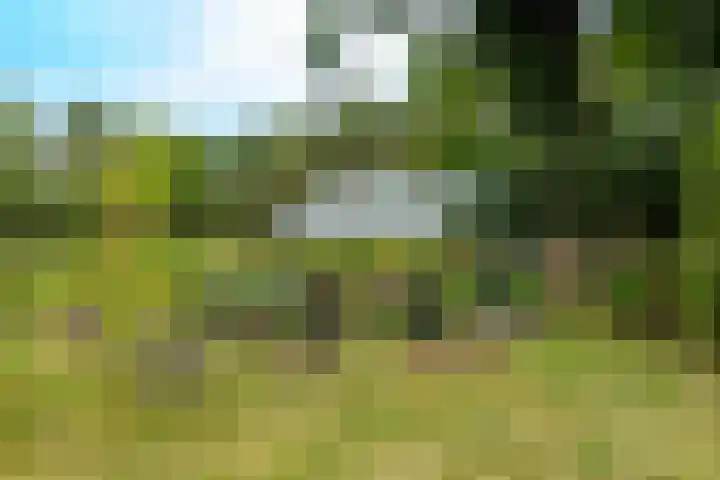 Vierschotenweg 14 't Loo Oldebroek thumbnail 116