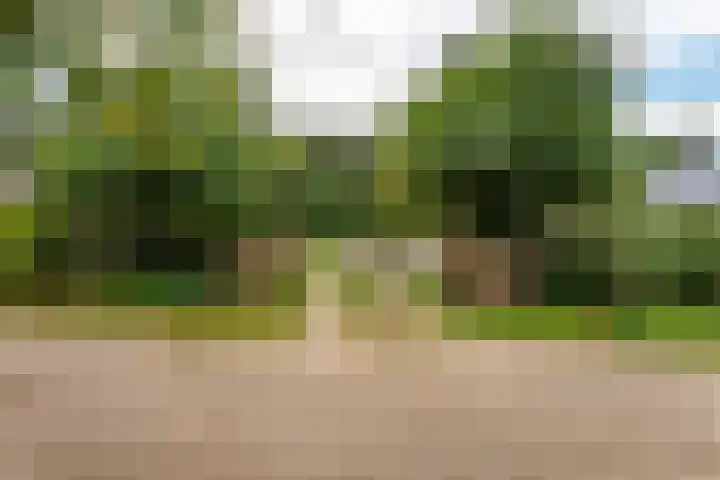Vierschotenweg 14 't Loo Oldebroek thumbnail 118