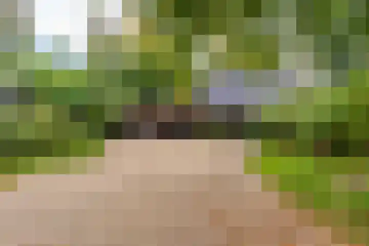 Vierschotenweg 14 't Loo Oldebroek thumbnail 119