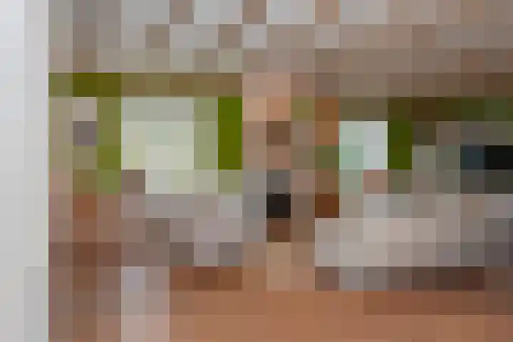 Vierschotenweg 14 't Loo Oldebroek thumbnail 12