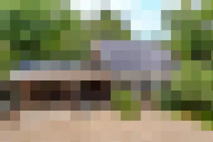 Vierschotenweg 14 't Loo Oldebroek thumbnail 120