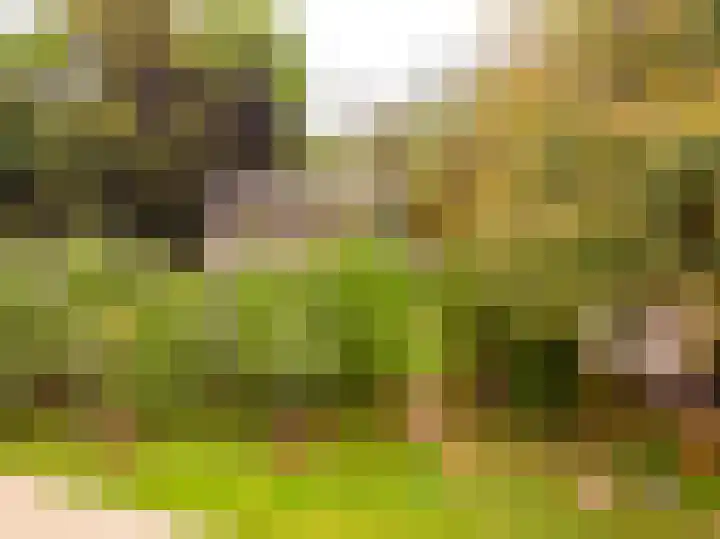 Vierschotenweg 14 't Loo Oldebroek thumbnail 121