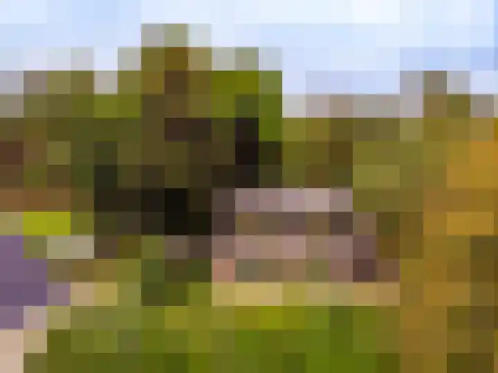 Vierschotenweg 14 't Loo Oldebroek thumbnail 122