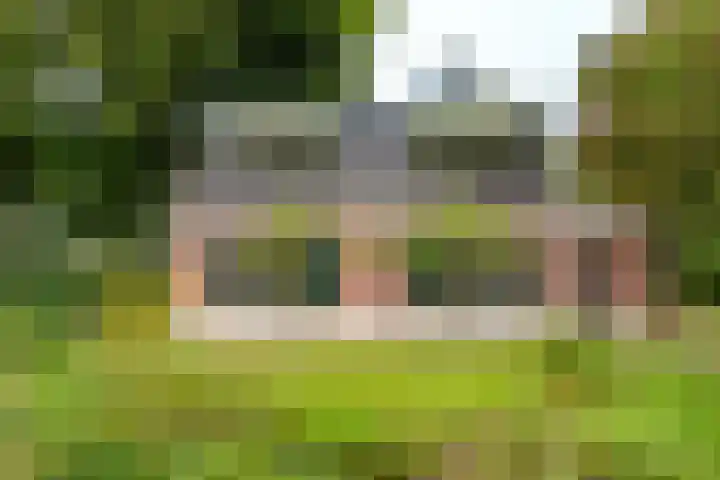 Vierschotenweg 14 't Loo Oldebroek thumbnail 123