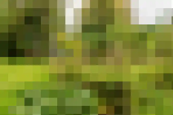 Vierschotenweg 14 't Loo Oldebroek thumbnail 125