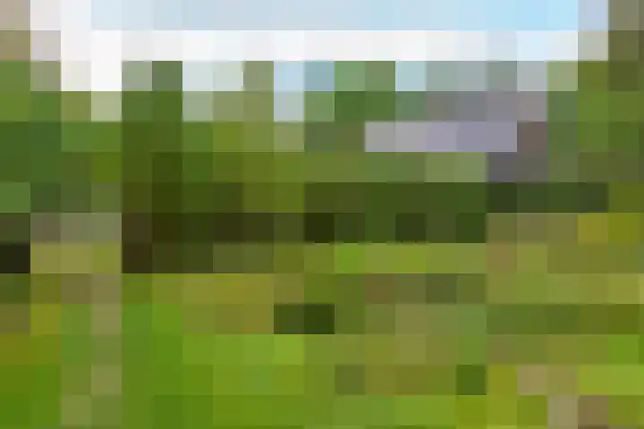 Vierschotenweg 14 't Loo Oldebroek thumbnail 126