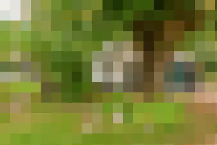 Vierschotenweg 14 't Loo Oldebroek thumbnail 127