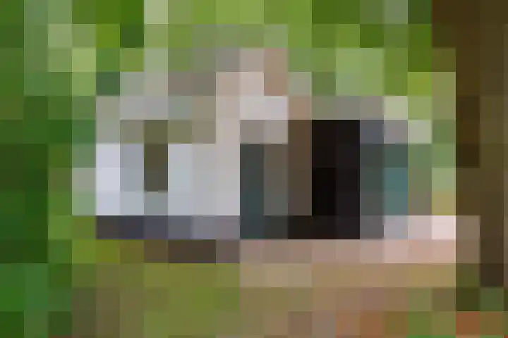 Vierschotenweg 14 't Loo Oldebroek thumbnail 128