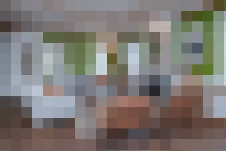 Vierschotenweg 14 't Loo Oldebroek thumbnail 13