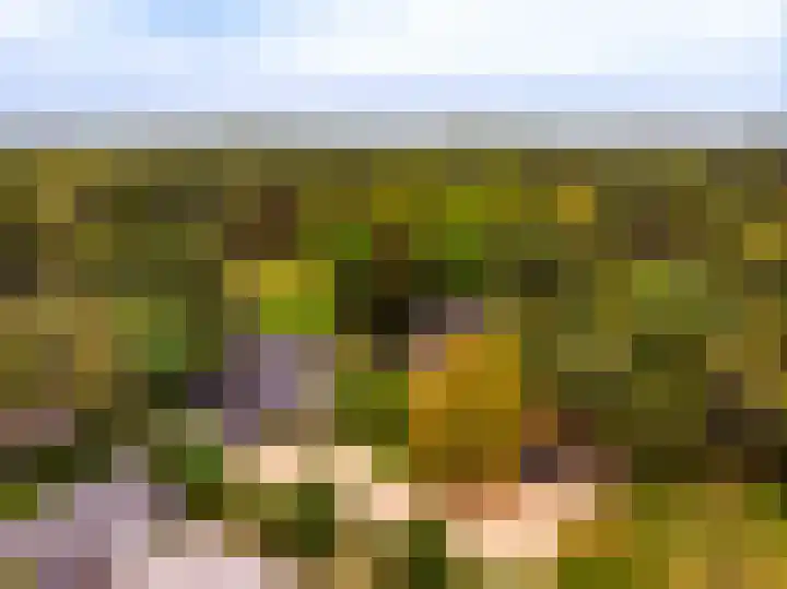 Vierschotenweg 14 't Loo Oldebroek thumbnail 130