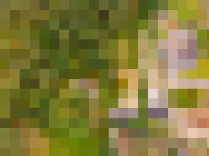 Vierschotenweg 14 't Loo Oldebroek thumbnail 133