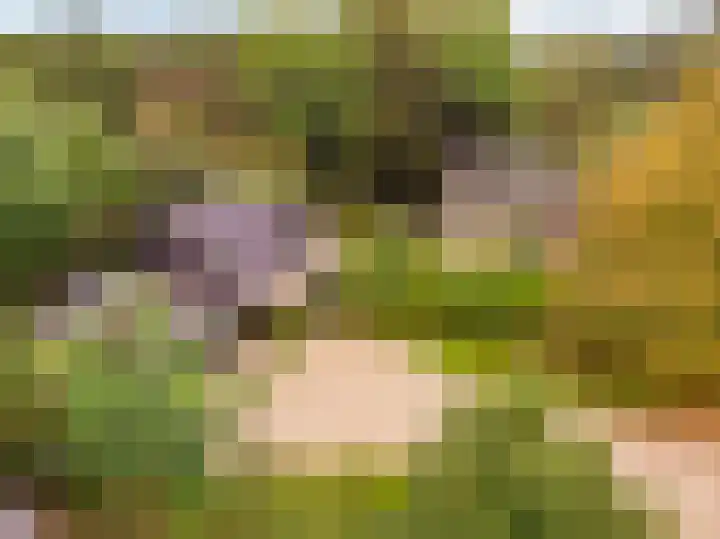 Vierschotenweg 14 't Loo Oldebroek thumbnail 137