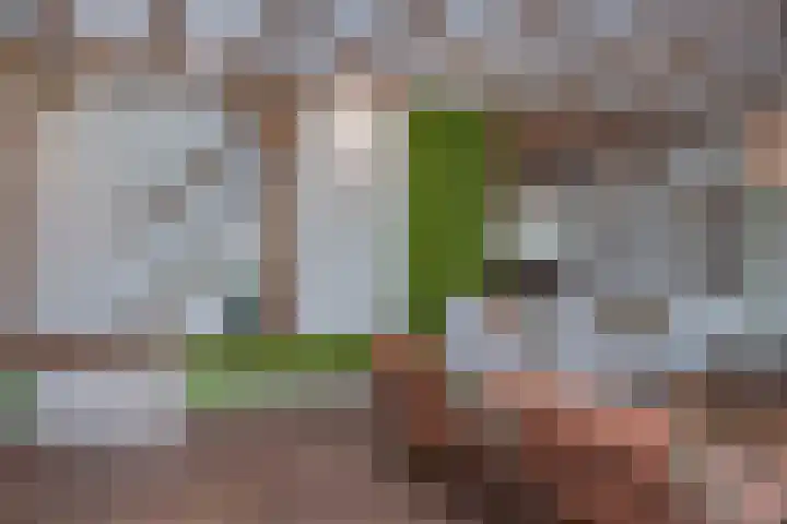 Vierschotenweg 14 't Loo Oldebroek thumbnail 14