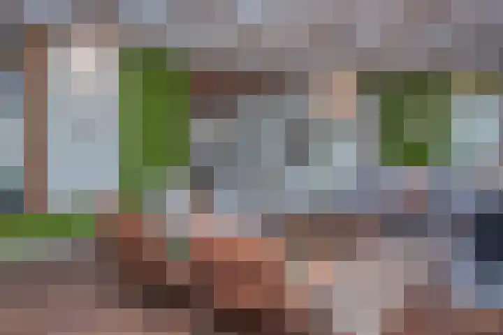 Vierschotenweg 14 't Loo Oldebroek thumbnail 15