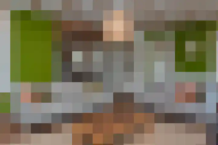 Vierschotenweg 14 't Loo Oldebroek thumbnail 16