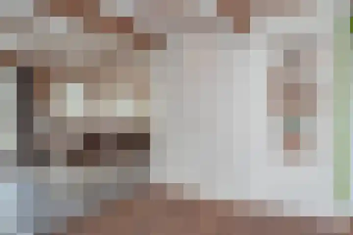 Vierschotenweg 14 't Loo Oldebroek thumbnail 17