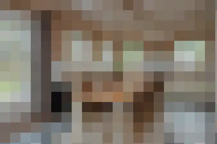 Vierschotenweg 14 't Loo Oldebroek thumbnail 18