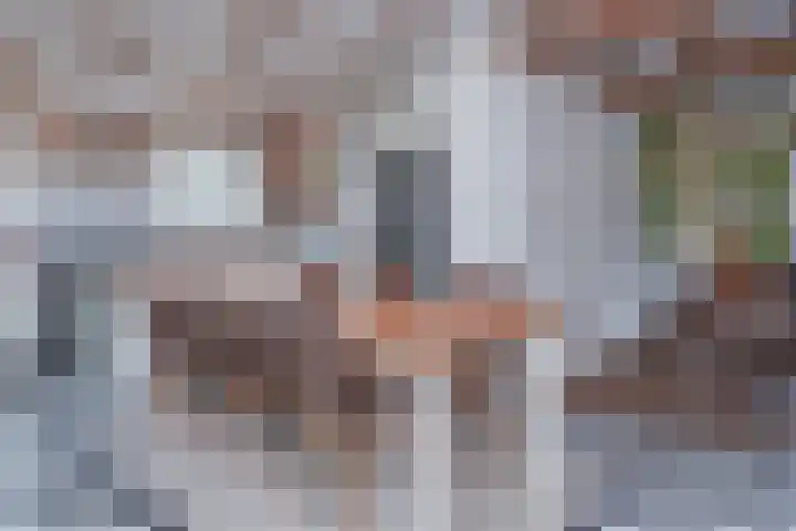 Vierschotenweg 14 't Loo Oldebroek thumbnail 20