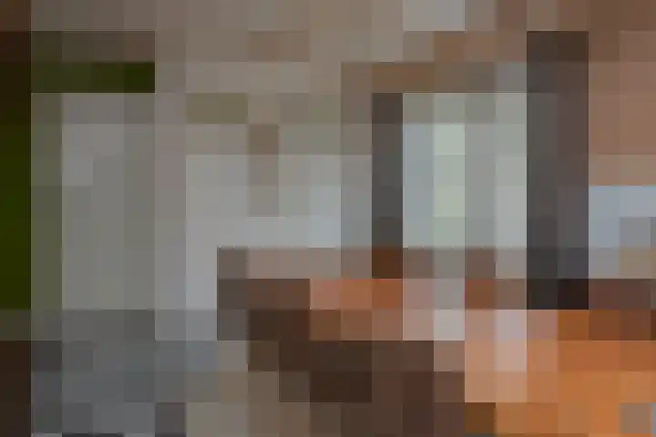 Vierschotenweg 14 't Loo Oldebroek thumbnail 23