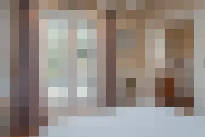 Vierschotenweg 14 't Loo Oldebroek thumbnail 28