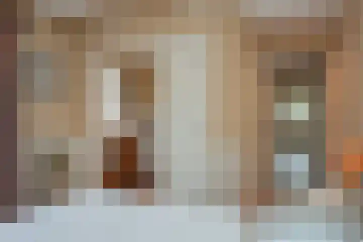 Vierschotenweg 14 't Loo Oldebroek thumbnail 29