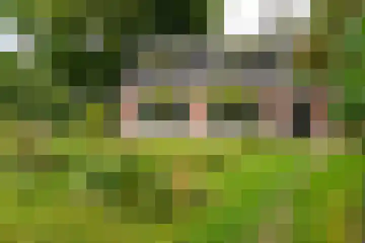 Vierschotenweg 14 't Loo Oldebroek foto 3
