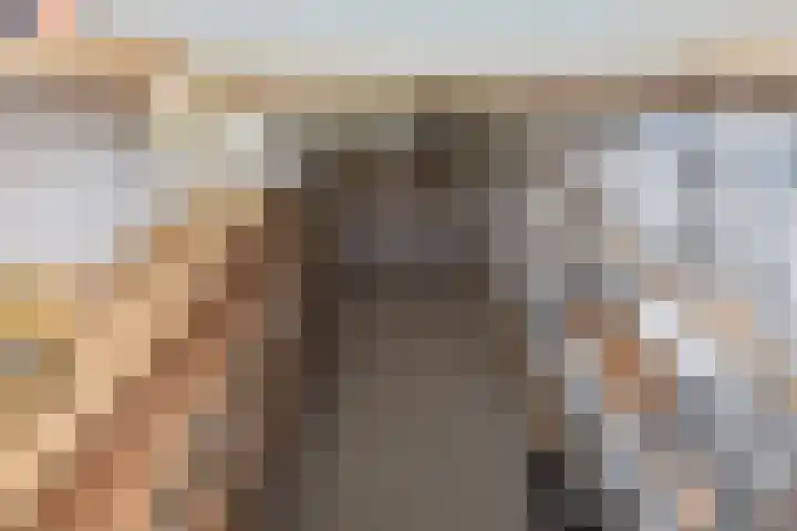 Vierschotenweg 14 't Loo Oldebroek thumbnail 33