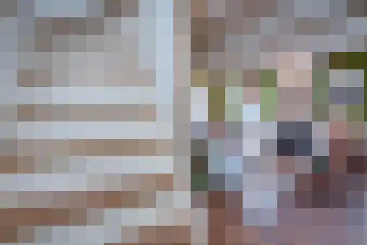 Vierschotenweg 14 't Loo Oldebroek thumbnail 34